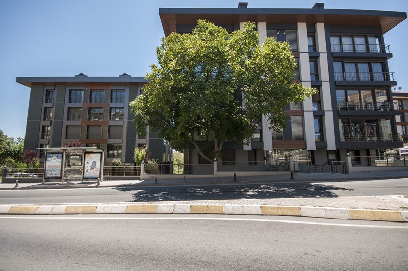 MaaNaa 34 Kamelya Apartmanı